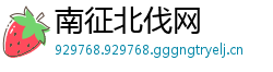 南征北伐网